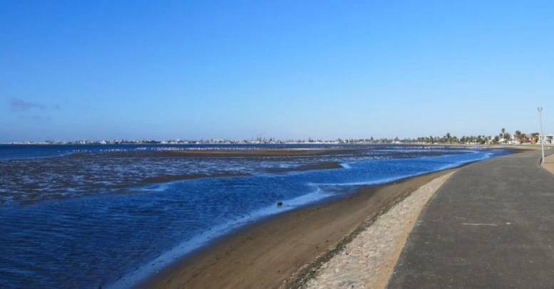 Glow by the Bay Empowers Youth to Champion Conservation