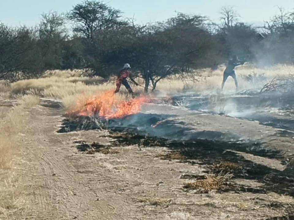 Erongo Regional Council Urges Public to Help Prevent Wildfires